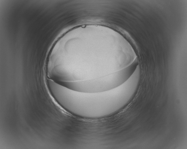 X0000082151432200702092139