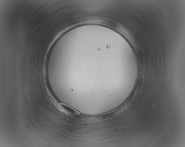 X0000082151436200702092139