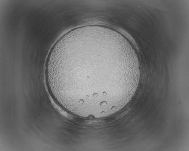 X0000082151439200702092140