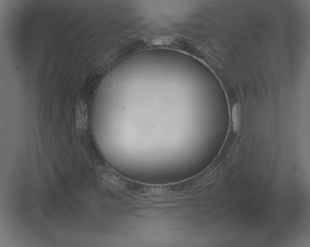 X0000082151443200702092139