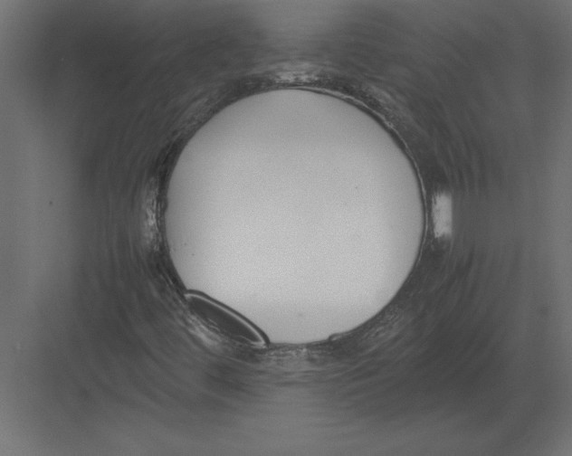 X0000082151444200702092139