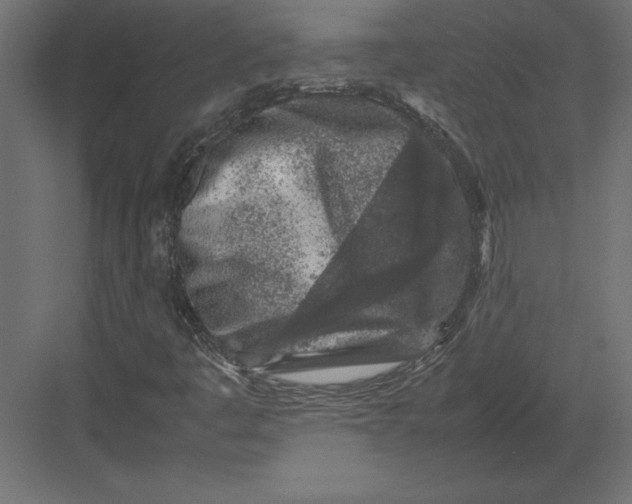 X0000082151445200702092139