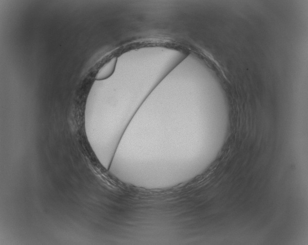 X0000082151448200702092139