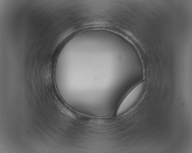 X0000082151450200702092139