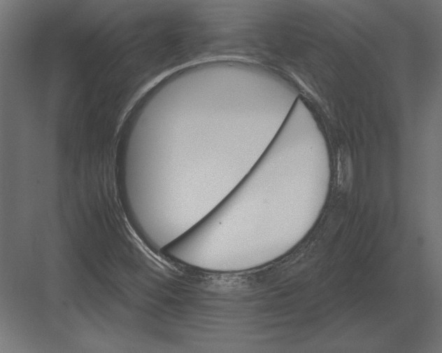 X0000082151452200702092139