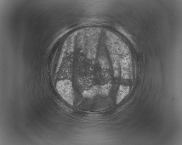 X0000082151453200702092139