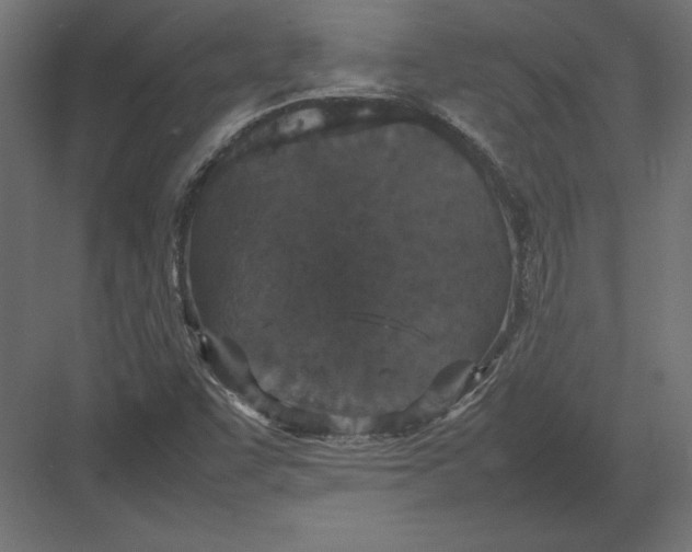 X0000082151455200702092139