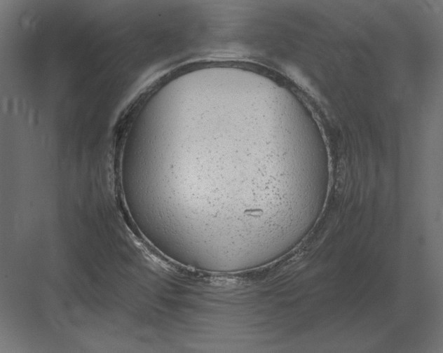 X0000082151456200702092138