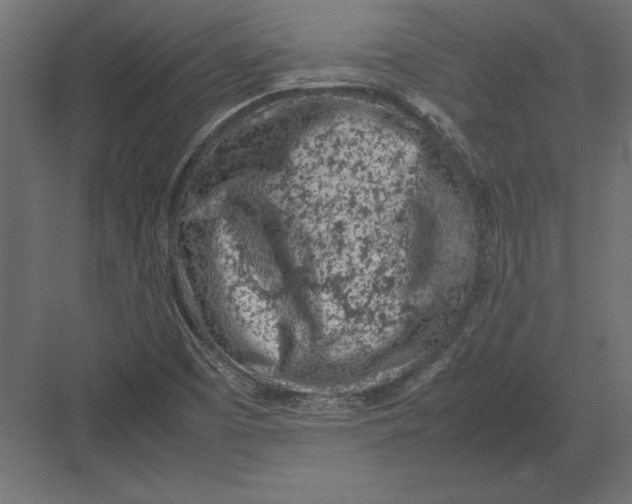 X0000082151457200702092138