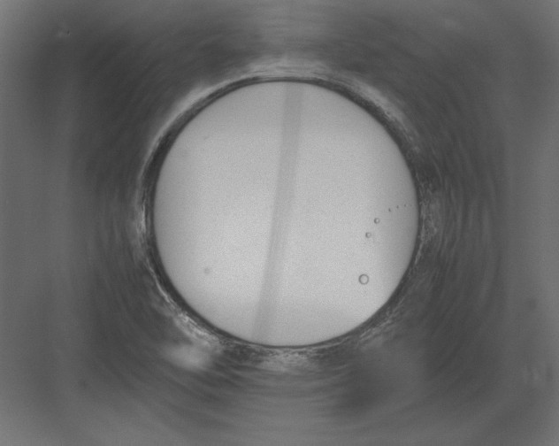 X0000082151462200702092138