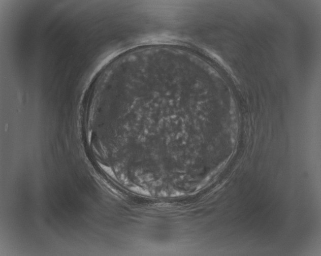 X0000082151463200702092138