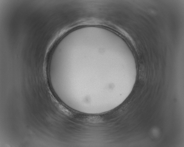 X0000082151464200702092138