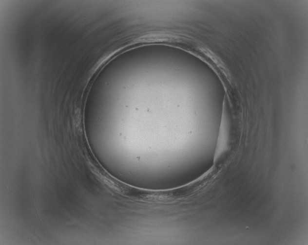 X0000082151465200702092138