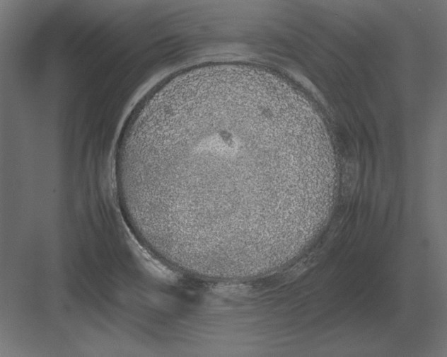 X0000082151466200702092138