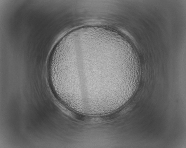 X0000082151467200702092138