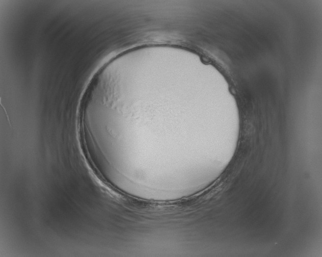 X0000082151471200702092138