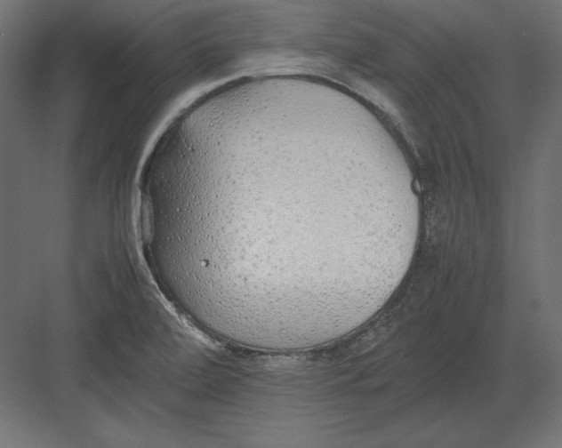 X0000082151472200702092138