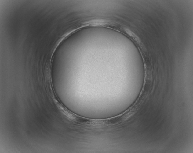 X0000082151473200702092138