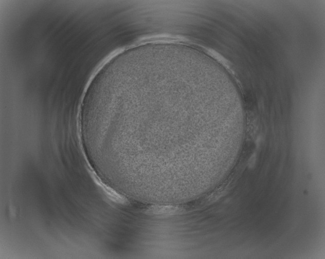 X0000082151474200702092138