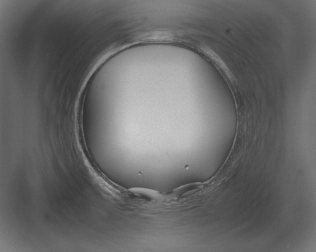 X0000082151475200702092138