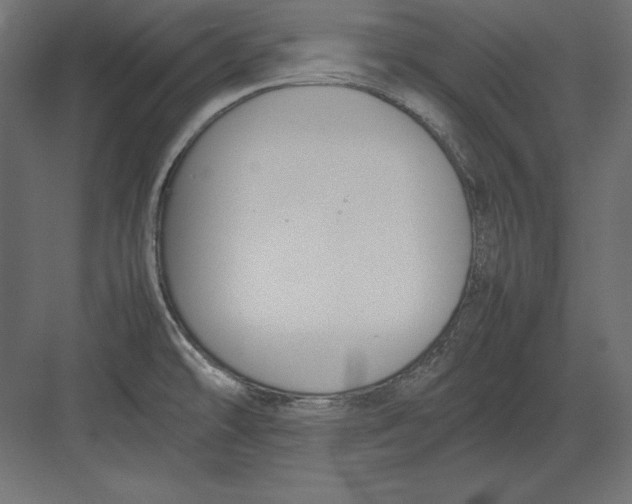 X0000082151478200702092138