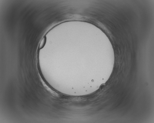 X0000082151479200702092138