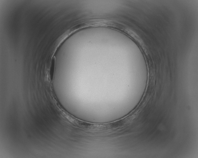 X0000082151481200702092138