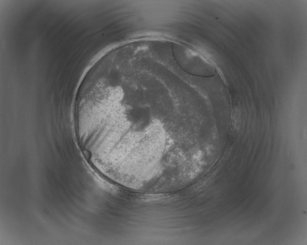 X0000082151482200702092138