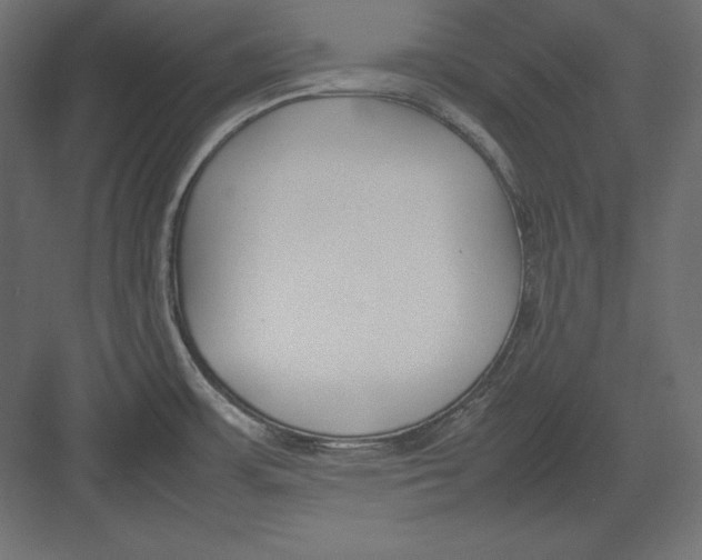 X0000082151483200702092138