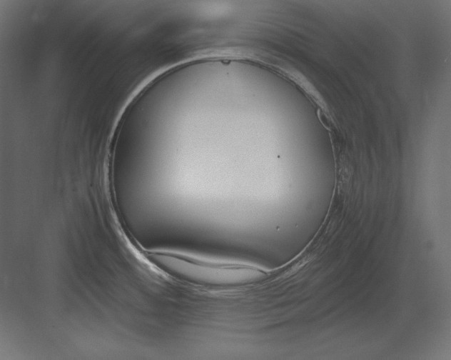 X0000082151484200702092138