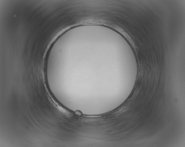 X0000082151486200702092138