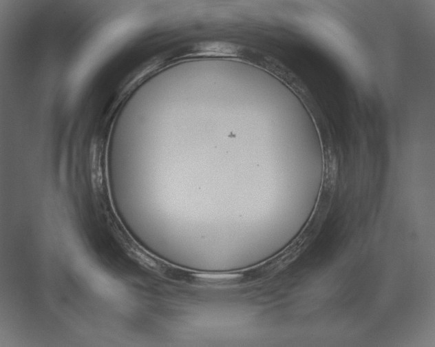 X0000082151487200702092138