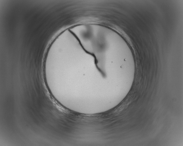 X0000082151488200702092138