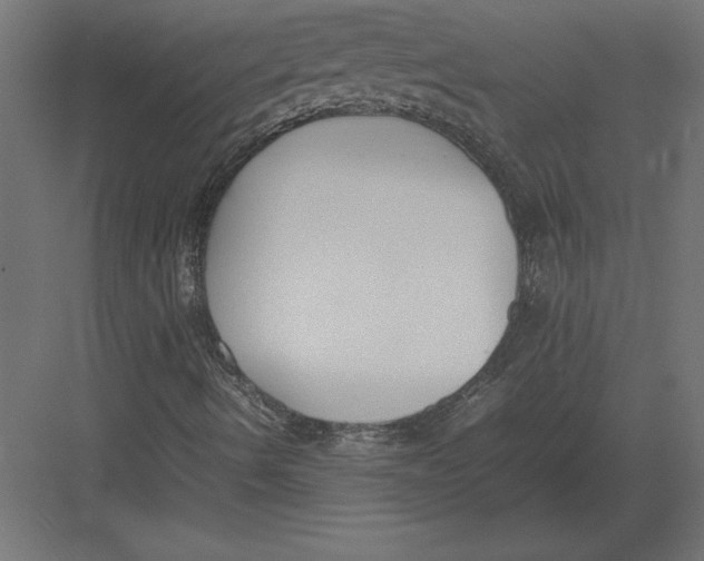 X0000082151490200702092137