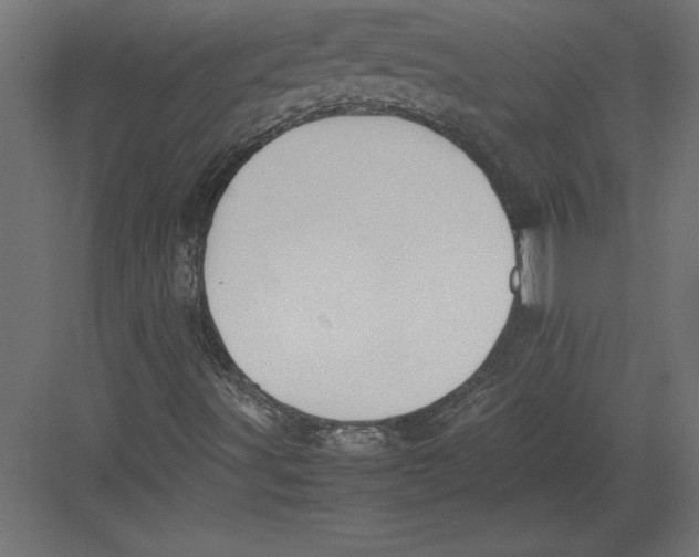 X0000082151491200702092137