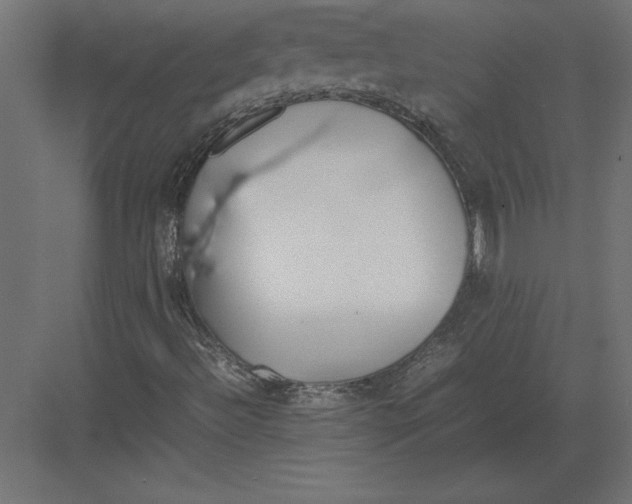 X0000082151492200702092137