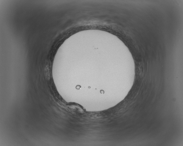 X0000082151493200702092137