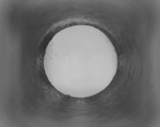 X0000082151495200702092137