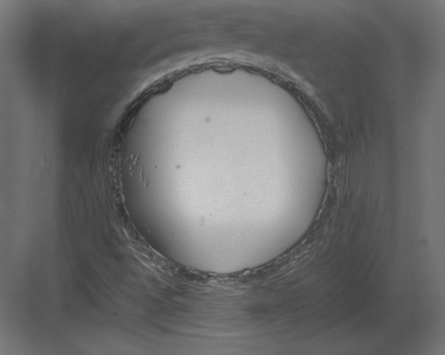 X0000082151496200702092137