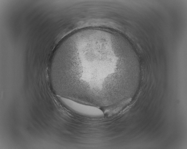 X0000082151497200702092137