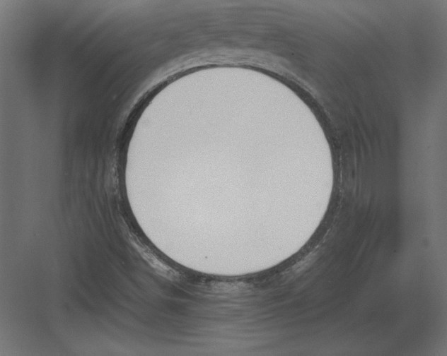 X0000082151498200702092137