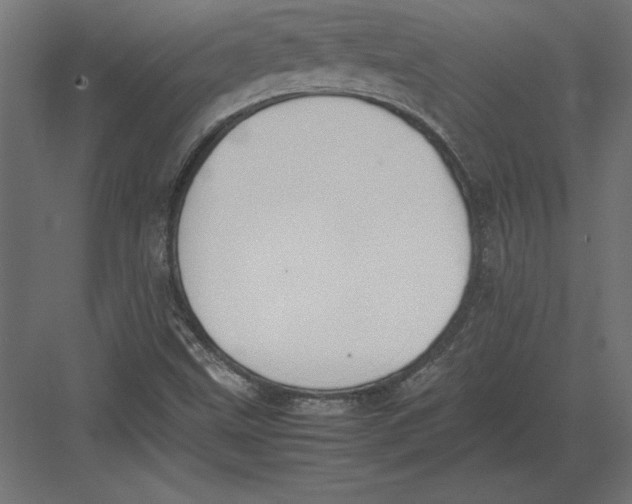 X0000082151499200702092137