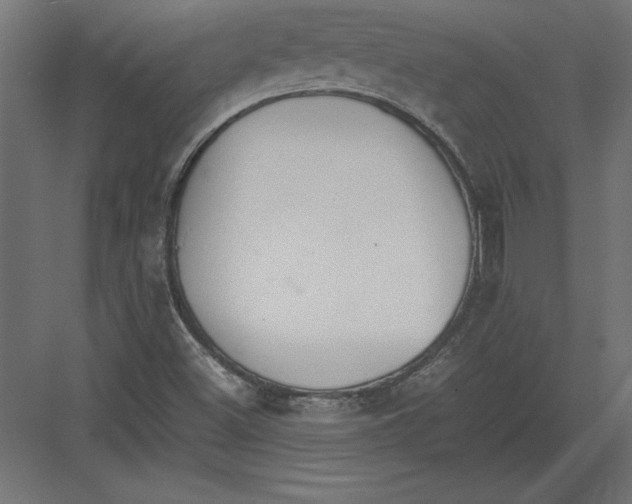 X0000082151500200702092137