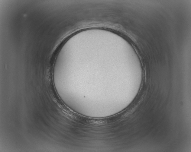 X0000082151501200702092137