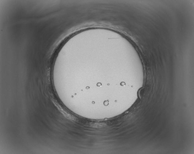 X0000082151503200702092137