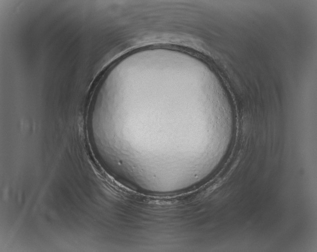 X0000082151505200702092137