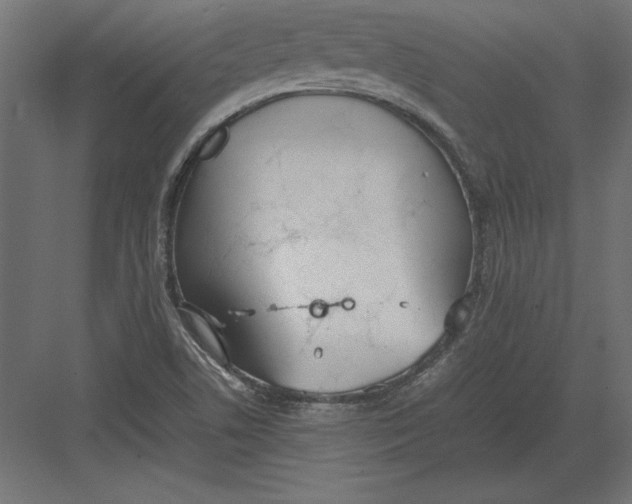 X0000082151506200702092137