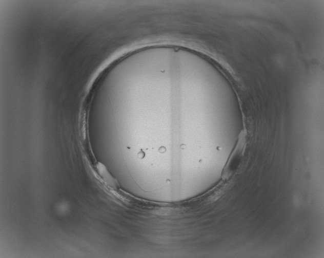 X0000082151510200702092138