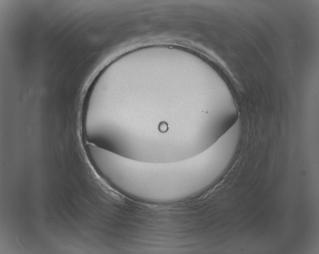 X0000082151512200702092138