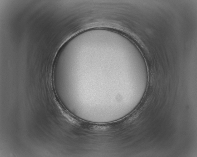 X0000082151513200702092138